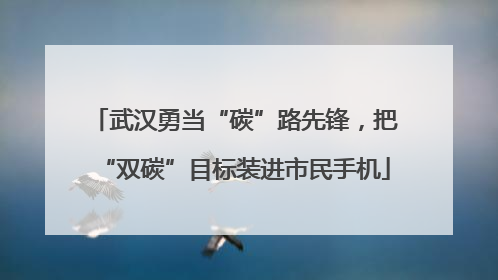 武汉勇当“碳”路先锋，把“双碳”目标装进市民手机