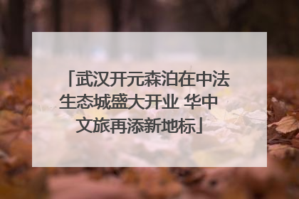 武汉开元森泊在中法生态城盛大开业 华中文旅再添新地标