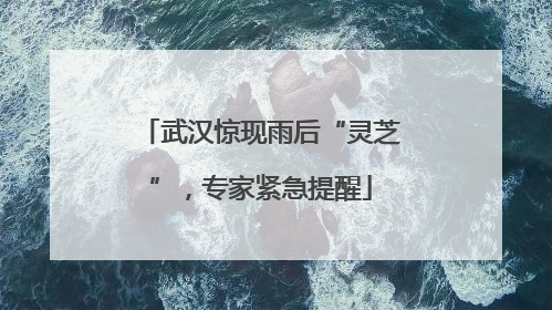武汉惊现雨后“灵芝”，专家紧急提醒