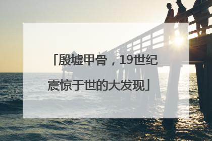 殷墟甲骨，19世纪震惊于世的大发现