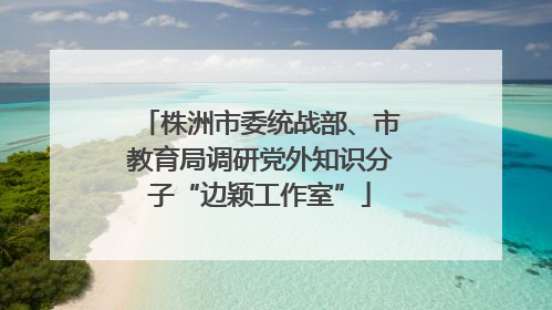 株洲市委统战部、市教育局调研党外知识分子“边颖工作室”