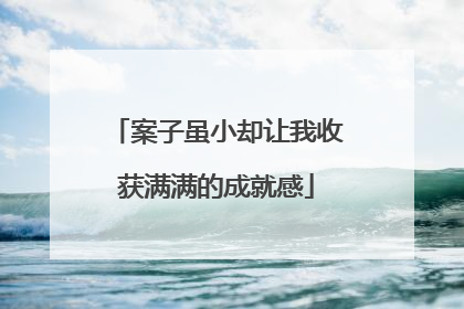 案子虽小却让我收获满满的成就感