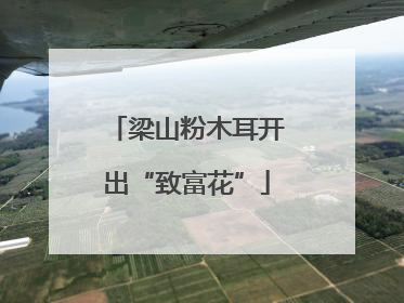 梁山粉木耳开出“致富花”