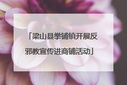 梁山县拳铺镇开展反邪教宣传进商铺活动
