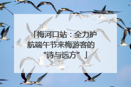 梅河口站：全力护航端午节来梅游客的“诗与远方”