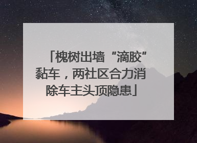 槐树出墙“滴胶”黏车，两社区合力消除车主头顶隐患