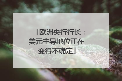 欧洲央行行长：美元主导地位正在变得不确定