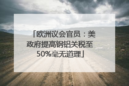 欧洲议会官员：美政府提高钢铝关税至50%毫无道理
