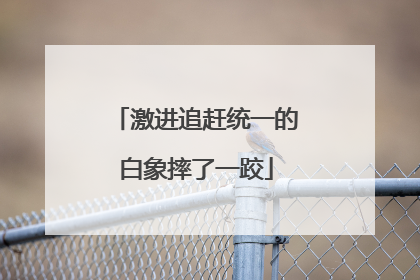 激进追赶统一的白象摔了一跤