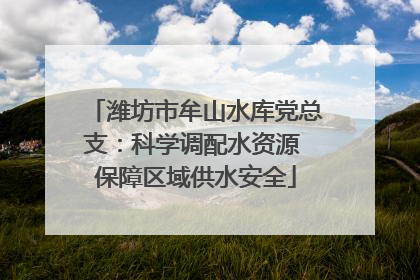 潍坊市牟山水库党总支：科学调配水资源 保障区域供水安全