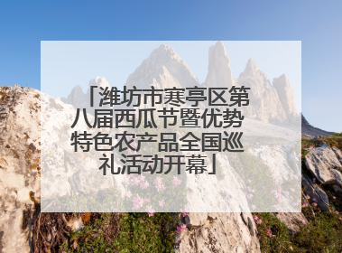 潍坊市寒亭区第八届西瓜节暨优势特色农产品全国巡礼活动开幕