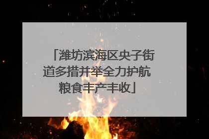 潍坊滨海区央子街道多措并举全力护航粮食丰产丰收