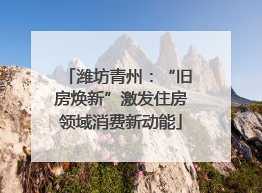 潍坊青州：“旧房焕新”激发住房领域消费新动能
