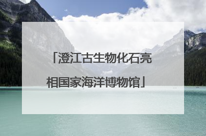 澄江古生物化石亮相国家海洋博物馆