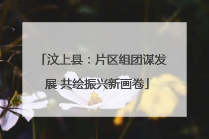 汶上县：片区组团谋发展 共绘振兴新画卷