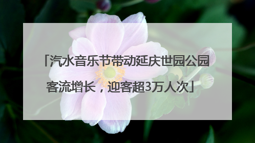 汽水音乐节带动延庆世园公园客流增长，迎客超3万人次