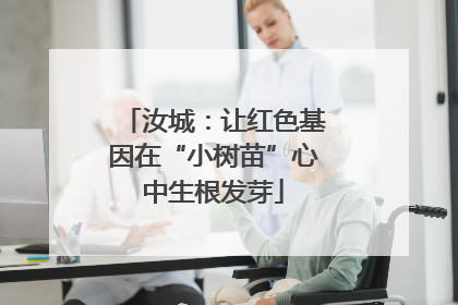 汝城：让红色基因在“小树苗”心中生根发芽