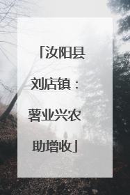 汝阳县刘店镇：薯业兴农助增收