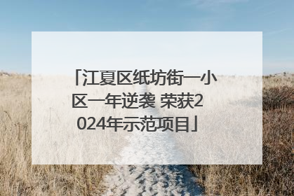 江夏区纸坊街一小区一年逆袭 荣获2024年示范项目