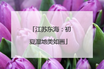 江苏东海：初夏湿地美如画