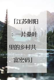 江苏射阳：一片桑叶里的乡村共富密码