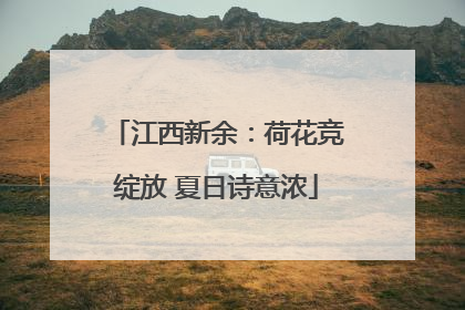 江西新余：荷花竞绽放 夏日诗意浓