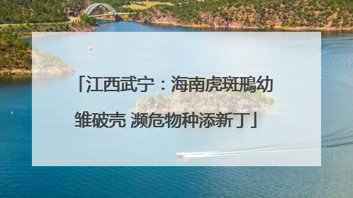 江西武宁：海南虎斑鳽幼雏破壳 濒危物种添新丁