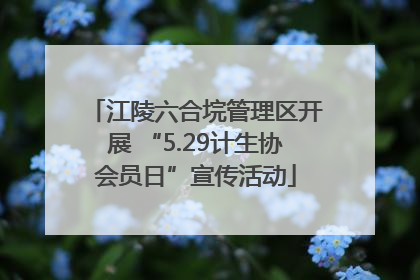 江陵六合垸管理区开展 “5.29计生协会员日”宣传活动
