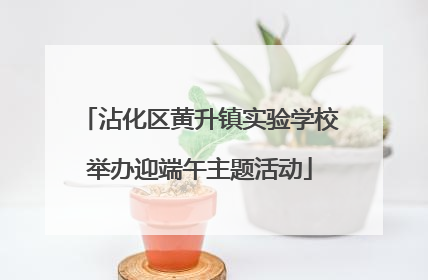 沾化区黄升镇实验学校举办迎端午主题活动