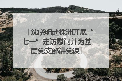 沈晓明赴株洲开展“七一”走访慰问并为基层党支部讲党课