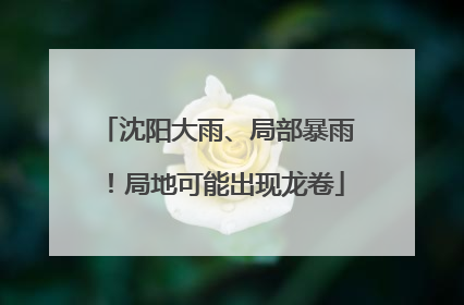 沈阳大雨、局部暴雨！局地可能出现龙卷