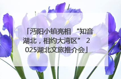 沔阳小镇亮相 “知音湖北，相约大湾区” 2025湖北文旅推介会