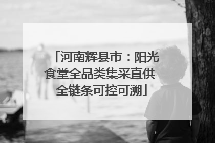 河南辉县市：阳光食堂全品类集采直供 全链条可控可溯