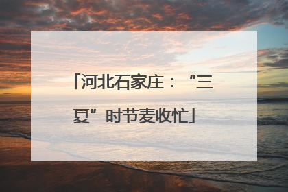 河北石家庄：“三夏”时节麦收忙