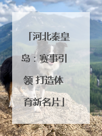 河北秦皇岛：赛事引领 打造体育新名片