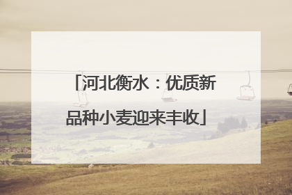 河北衡水：优质新品种小麦迎来丰收