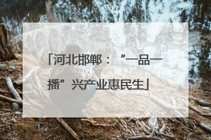 河北邯郸：“一品一播”兴产业惠民生