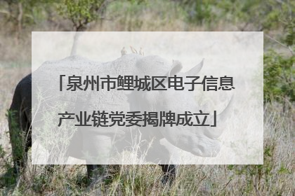 泉州市鲤城区电子信息产业链党委揭牌成立