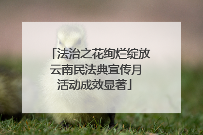 法治之花绚烂绽放 云南民法典宣传月活动成效显著