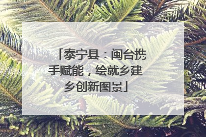 泰宁县：闽台携手赋能，绘就乡建乡创新图景