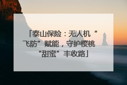 泰山保险：无人机“飞防”赋能，守护樱桃“甜蜜”丰收路