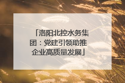洛阳北控水务集团：党建引领助推企业高质量发展