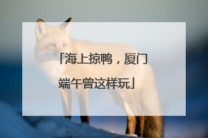 海上掠鸭，厦门端午曾这样玩