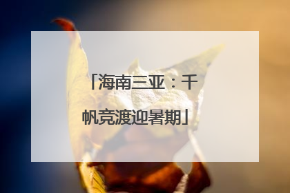 海南三亚：千帆竞渡迎暑期