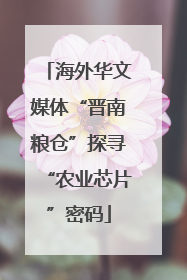 海外华文媒体“晋南粮仓”探寻“农业芯片”密码