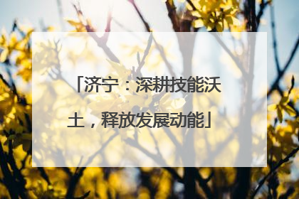 济宁：深耕技能沃土，释放发展动能
