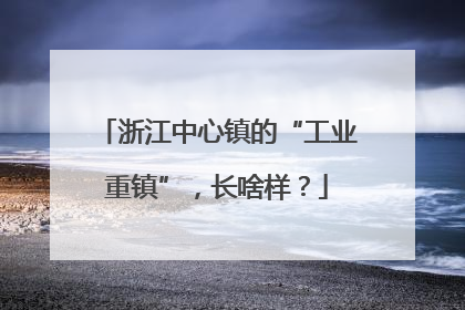 浙江中心镇的“工业重镇”，长啥样？