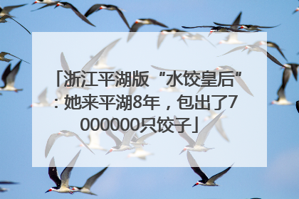 浙江平湖版“水饺皇后”：她来平湖8年，包出了7000000只饺子