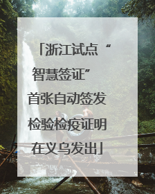 浙江试点“智慧签证” 首张自动签发检验检疫证明在义乌发出
