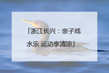 浙江长兴：亲子戏水乐 运动享清凉